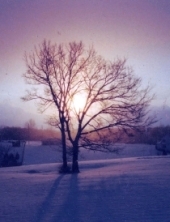 Lone Oak Winter Dawn - Havenwood Tales
